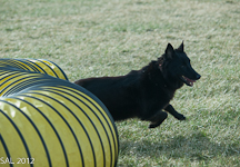 Photo of Garnette exiting tunnel